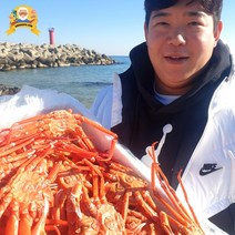 제철 대게 홍게 자숙 찜 박달 구룡포 선주직송 2kg, [신선출발]국산대게(생물or자숙찜), 특대 대게 3마리(찜)_90%내외