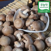 금성농장 무농약인증 생 표고버섯, 상품 1kg