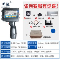 핸드 프린터 날인기 휴대용 수동 스티커 로고 날짜, 프린터 + 파란색 속건 잉크 +보관함 없음