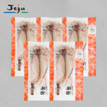 제주 옥돔 500g (100g x 5팩) 손질 반건조 생선 구이 제주특산품 산지직송