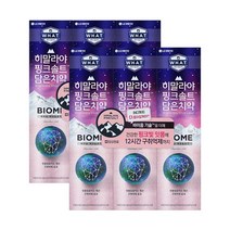히말라야 핑크솔트 담은 치약 바이옴 100g X 6개