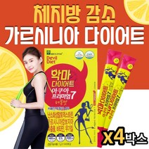 여성 아랫배살 복부 피하지방 감소 식이섬유 다이어트 가르시니아 비타민 무기질 지방분해제 아내 출산후 생일선물 복부 윗배 레몬밤 레몬맛 유해산소억제