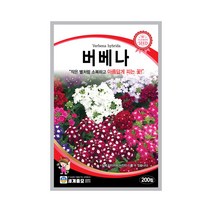 모칸도 (무배)세계 버베나 꽃씨 200립, 버베나꽃씨 200립
