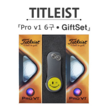 타이틀리스트 Pro V1 6구 골프공 그린보수기 선물세트, 화이트 FREE