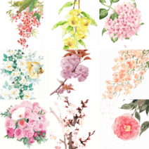 유화그리기세트 플라워모음 인터넷화방 데이지 매화 장미 복숭아꽃 엄마표미술놀이 미술태교, 070/160-40 50 내부프레임만-구성품세트