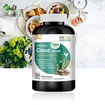 로얄캐네디언 100배 고농축 100% 시서스 캡슐 500정, 600mg/500캡슐, 1개