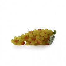 포도 모형 (중), FM-020