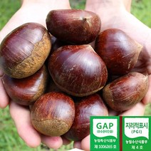 2022년 공주 정안밤 대 2kg 4kg 공주밤 알밤 햇밤 산지직송 GAP인증