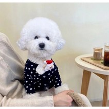 댕하냥 강아지 땡땡이 포인트 니트가디건 크리스마스 특이한 강아지옷, 레드