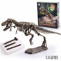 공룡화석 발굴키트(대), _13588_트리케라톱스
