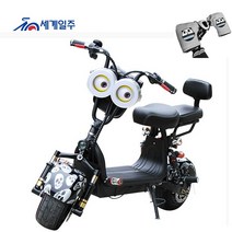 세계일주 성인 전기 자전거 800W 48V 12A 35-50km 주행가능거리 여성용 전기자전거 CK32, 블랙