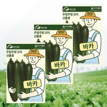 오이씨앗종자 바카오이 10립 *주렁주렁 오이와 같은 암꽃발생이 높은 다수확 미니오이*, 3개