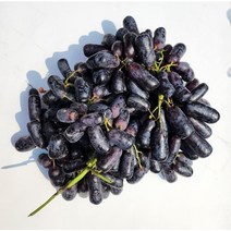 프리미엄 블랙사파이어 포도, 800g 3팩