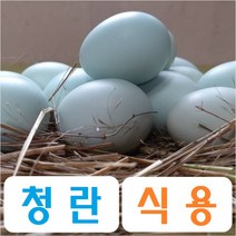 가성비 좋은 청란방목20구 중 인기 상품 소개