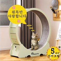 런캣 무소음 간단 설치 원목 캣휠 고양이캣휠, XL(113*36*120), 간이 설치, 아보카도그린, XL(113*36*120)