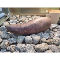 맥반석돌 굴림자갈 1kg 구이용 수경재배 화분용 정수용 맥반석 오징어 계란 삼겹살 고구마 고기 자갈구이 어항여과돌 수족관 돌맹이, 맥반석굴림돌(40~50mm)1kg