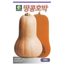 다농 땅콩호박씨앗 호박씨앗 10p, 5개