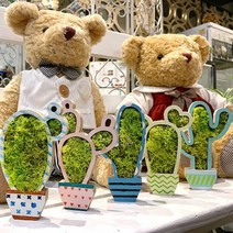 DIY 선인장모스 화분만들기 - 5인세트, 상품선택