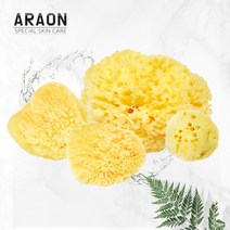 셀럽 천연 해면 스펀지 세안 클렌징스펀지 100% 무화학 천연콜라겐 단백질 고탄성 그리스, 허니컴5~5.5 inch