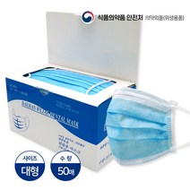 대한위재 덴탈마스크, 1박스, 50개