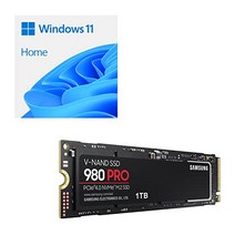 ITG 마케팅 980 PRO 1TB Windows 11 Home 64bit DSP 버전 포함 MZ-V8P1T0W11HEC