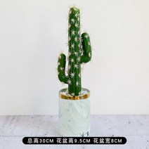 만세 선인장 가장 많이 찾는 데스크탑 미니 장식 식물, 연두색 화분 + 페어리 칼럼