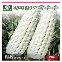 해피찰3호흰찰옥수수 250립