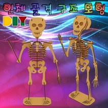 PGM1*^몰향앤미과학 DIY 인체 골격 구조 모형 교구 교재 학습 교육용퍼즐 수업 3D 나무^*1췤pgm, a^^*옵션없슴, a^^*옵션없슴