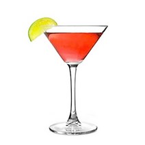 [파사바체] 이노티카 마티니 230ml 6개세트 (44698)/유리컵/글라스