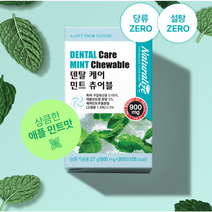 입냄새 구강건강 덴탈 케어 민트 츄어블 (900mg x 30정), 30정, 900mg, 1개