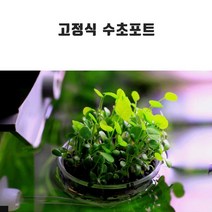 신바람 부착식 수초 포트 화분 씨앗 키우기