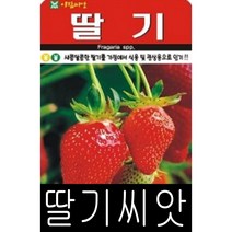 [워터트리몰] 채소 종자 재배 씨앗 딸기 씨앗(100립) (A)