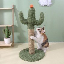 PETCA 선인장 고양이 기둥형 스크래쳐 폼폼볼 고양이장난감, 그린