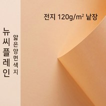 뉴씨플레인 종이문화 얇은 양면색지 120g 전지 낱장 1매 No.21 살구색, 1장