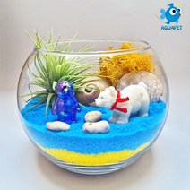 백곰과 친구들 - 틸란(이오난사) 원형볼 12cm 테라리움 DIY키트 세트, 하늘