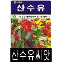 [워터트리몰] 산수유나무씨앗(100립) 채소 꽃 종자 재배 씨앗 허브 나무 (A)