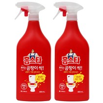 홈스타 뿌리는 곰팡이 싹 900ml [+사은품증정], 2개입