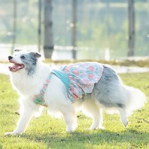 강아지 비옷 우산 대형견 우비 다이소 애견 Xiaozao 셔츠 옷 애완견 스커트 서스펜더 귀여운 조끼 Samoyed Labrador 커플 복장, [01] 튤립셔츠는 핏이 좁은 편으로, 가슴둘레 8~1, [01] XL