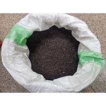 슈퍼 도라지 씨앗 판매, 3