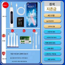 전동칫솔 치석기 2중 파동 청소 고주파 스케일링 치석제거 세트 치석제거 가정용, 사과가 희다, 옵션2