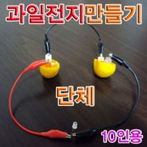 PGM1*^몰향앤미과학 과일 전지 만들기 단체 10인용 실험키트 만들기교구 교육용 교재 학습^*1췤pgm, a^^*옵션없슴