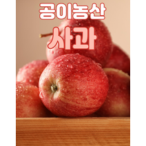 공이농산 꿀 사과 10kg 부사과 후브락스 충주사과 농장직배송 새콤달콤 백화점, 상세페이지 참조