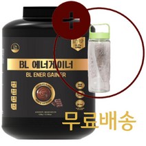 비엘에너게이너3kg 단백질 보충제 웨이 프로틴 단백질 벌크업 초코맛, 3kg, 1개