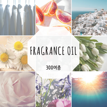 [드그라쎄] 프리미엄 프래그런스오일 350종 캔들 디퓨저 석고방향제 20ml - 2, 국내산 204. 히노끼 (L)