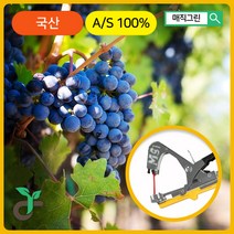 매직그린 원예용 농업용 결속기 <국산 A/S 100%보장> 농장물 결속 포도 블루베리 가지 고추 오이 토마토 끈 지지대, MB-3000, 1개” class=”wr-img”></a></div>
</div>
</div>
</div>
<div class=