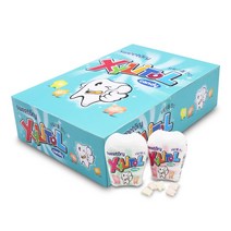 자일리톨 캔디 18gx12개 (1통)