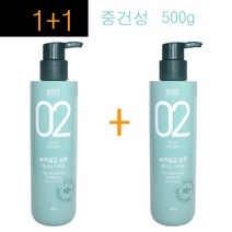1+1구성~ 아모스 02 녹차실감 샴푸 500g (중건성) 정품, 1개, 500ml
