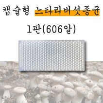 버섯종균 느타리 종균 1판 606캡슐 캡슐형 버섯 종균 버섯키우기 퍼스트팜, 느타리종균(606 캡슐) 1판
