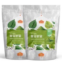 닥터비옴 100% 국산 뽕잎가루 300g x 2개