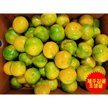 만보네귤 제주하우스감귤 조생귤 1.5KG 2.5KG 5KG 10KG, 만보네 5KG